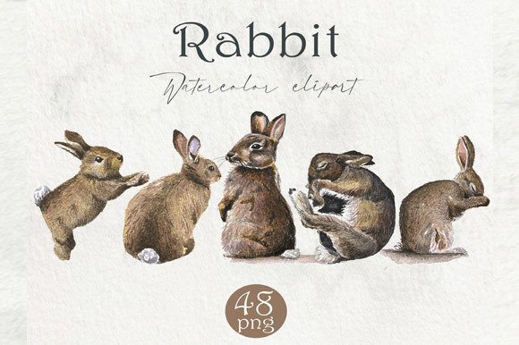 Evaluating the Watercolor Rabbit, Forest Animals PNG Collection for Creative Projects