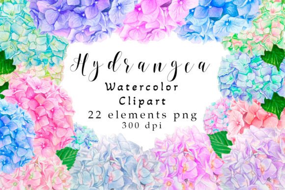 Hydrangea Clipart, Watercolor PNG: Elevating Your Creative Projects with Digital Florals