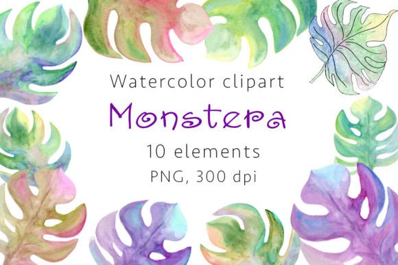 Premium Monstera Clipart PNG Set