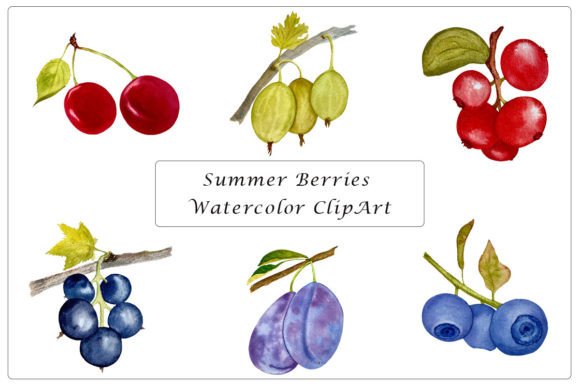Watercolor Berries Clipart for Designers