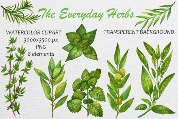Watercolor Green Herbs Clip Art Set